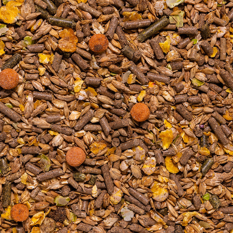 Deli Nature - Specialtix Hangbuikvarken Muesli - 20kg