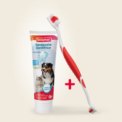 Beaphar - Toothpaste &amp; Brush