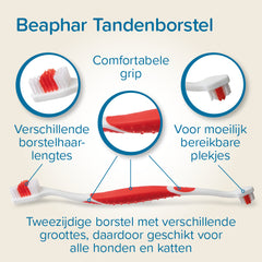 Beaphar - Toothpaste &amp; Brush