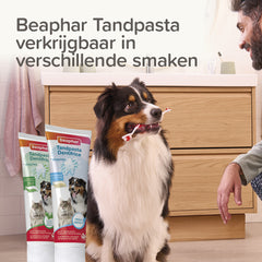 Beaphar - Finger Toothbrush - 2 pieces