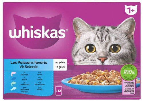 Whiskas - 1+ Vis Selectie in Gelei Maaltijdzakjes Multipack - 24 x 85g
