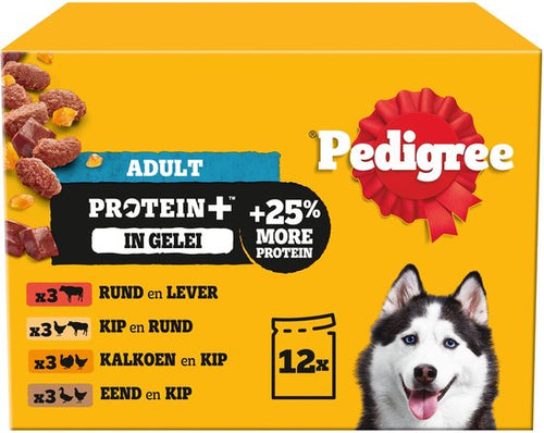 Pedigree - Adult Protein+ Selectie In Gelei Maaltijdzakjes Multipack - Natvoer - 12x85g