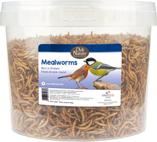 Deli Nature - Greenline Meelwormen 700g