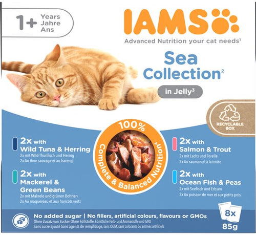 IAMS - Delights Adult Sea Jelly Multipack - 8 x 85g