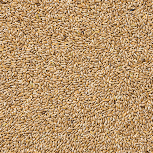 Deli Nature - Witzaad Extra 86 20kg