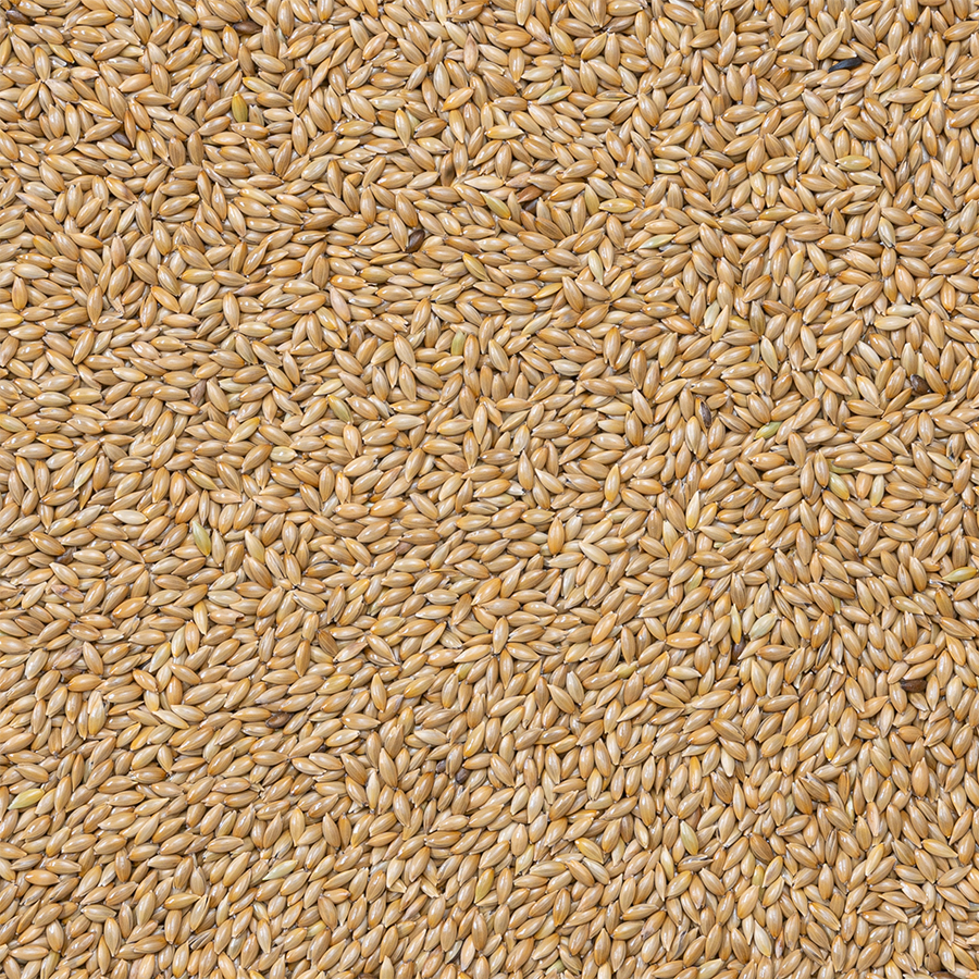 Deli Nature - Witzaad Extra 86 20kg