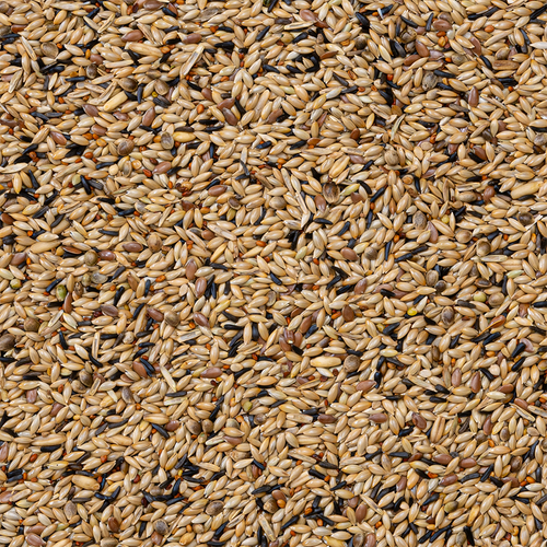 Deli Nature - Kweek Zonder Raapzaad Kanarie Nummer 80 20kg