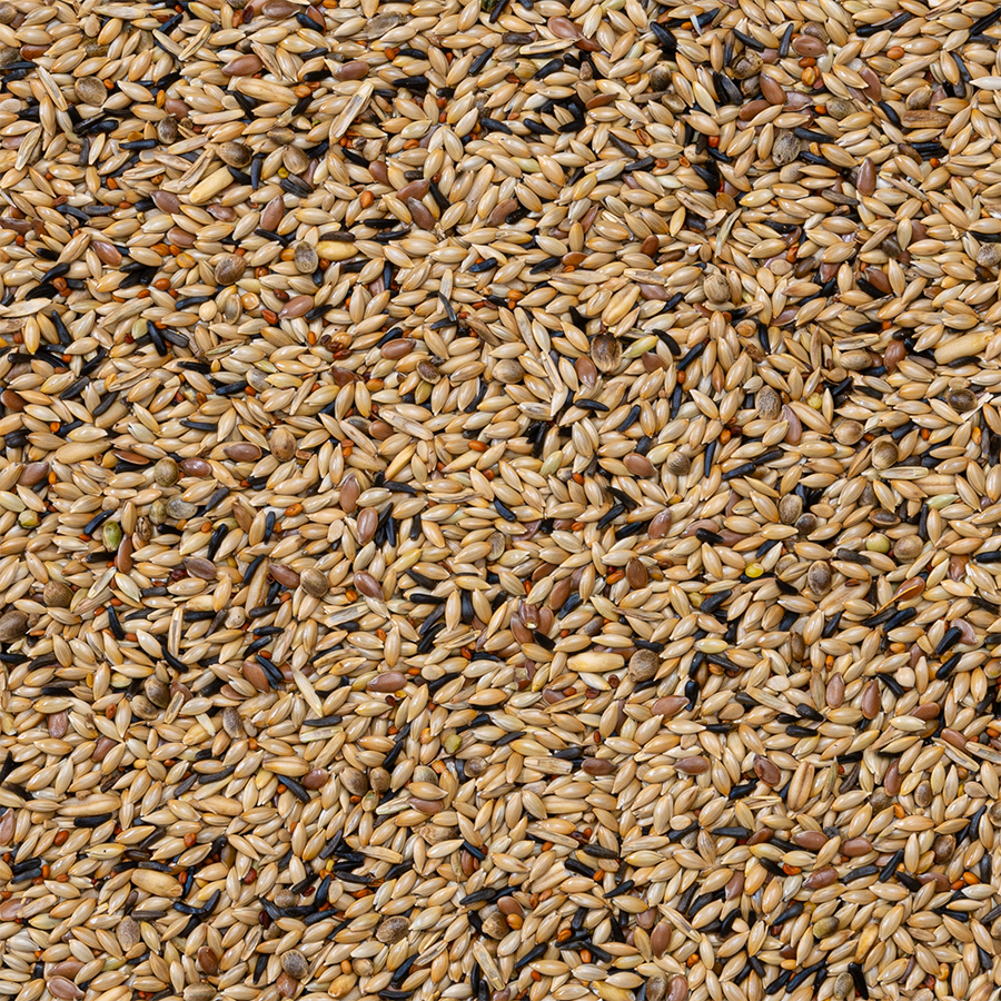 Deli Nature - Kweek Zonder Raapzaad Kanarie Nummer 80 20kg