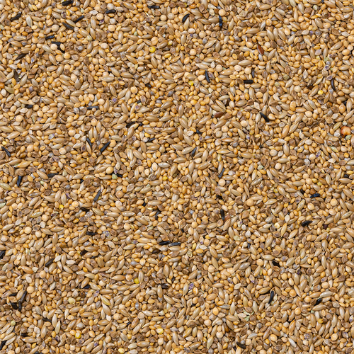 Deli Nature - Zebravink Supreme 20kg