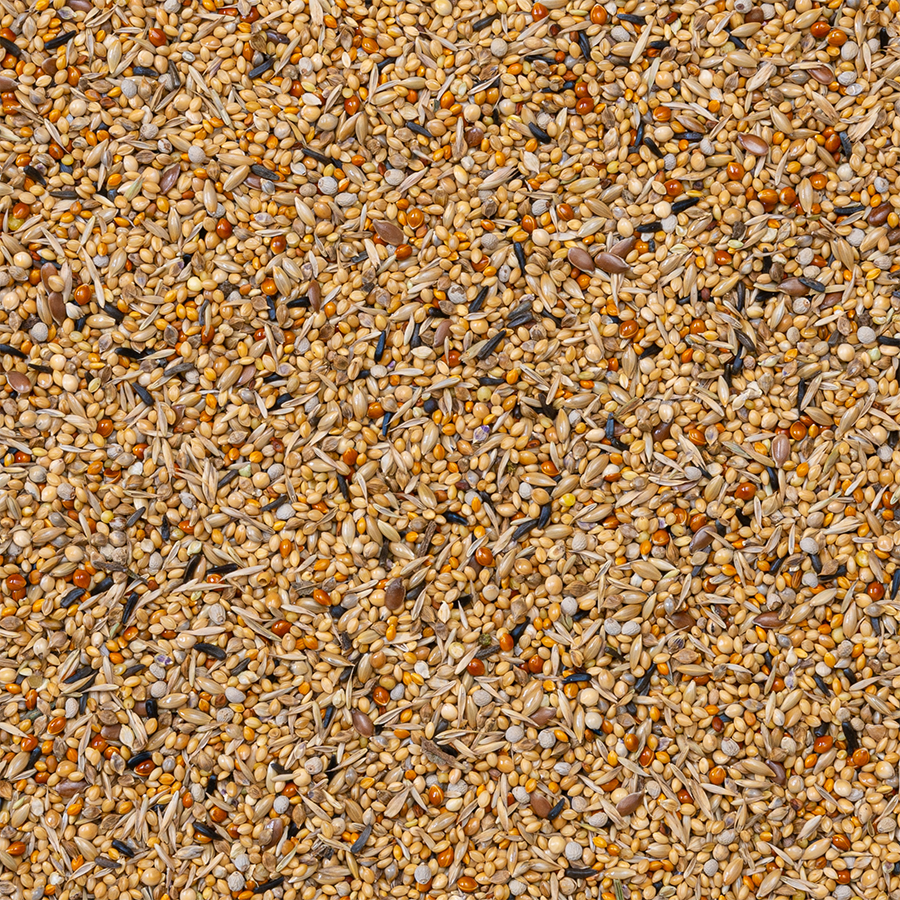 Deli Nature - Afrikaanse Prachtvinken Supreme 20kg