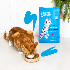 Edgard &amp; Cooper - Cat Food - Adult - Salmon - 4 kg