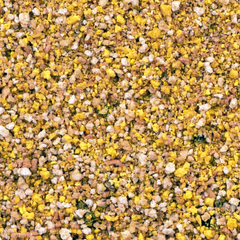 Cédé - Eivoer Grote Parkiet & Papegaai - Vogelvoer - 5kg
