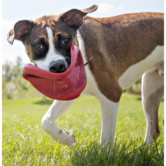 Kong Flyer - Frisbee - Rood - 22,5 cm